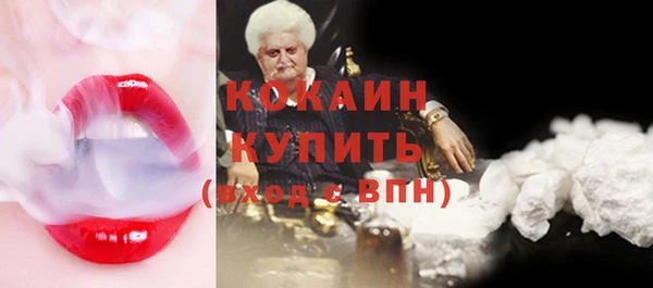 шишки Аркадак