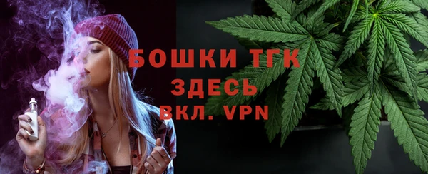 шишки Аркадак