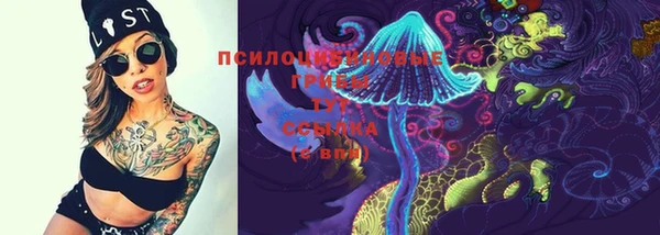 шишки Аркадак